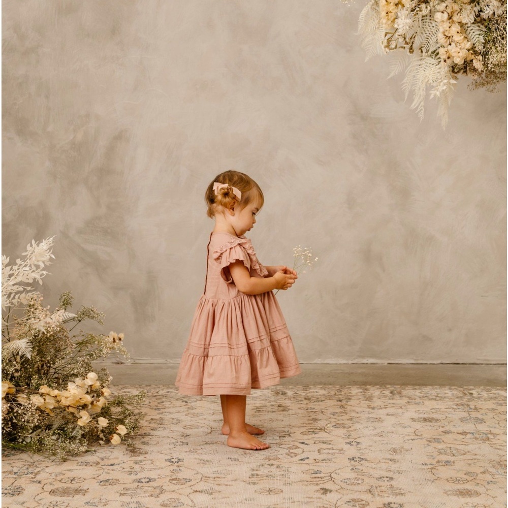*sold* Noralee Goldie Dress in Dusty Rose 2t